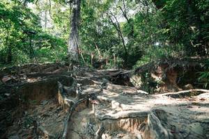 BIB: 
                            <button type="button" onclick="openModal(27799807)" class="btn btn-primary btn-sm float-right btn-popup" data-toggle="modal" data-target=".modal-high-quality">
                        <i class="fas fa-shopping-cart"></i> Add to Cart
                    </button>
                                            <button type="button" onclick="isThisMe(27799807, true)" class="btn btn-success btn-sm float-right btn-popup btn-isme hidden" data-toggle="tooltip" data-placement="bottom" title="นี่คือรูปของคุณใช่ไหม คลิกที่นี่เพื่อเอาเข้าอัลบั้ม">
                        <i class="fas fa-plus"></i> Add to album
                    </button>
                    <button type="button" onclick="isThisMe(27799807, false)" class="btn btn-warning btn-sm float-right btn-popup btn-isnotme hidden">
                        <i class="fas fa-ban"></i> Remove from album
                    </button>